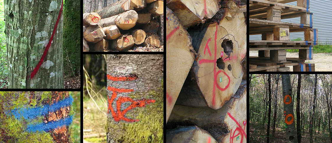 application strong marker traceur forestier longue durée
