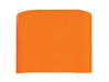 orange line paint